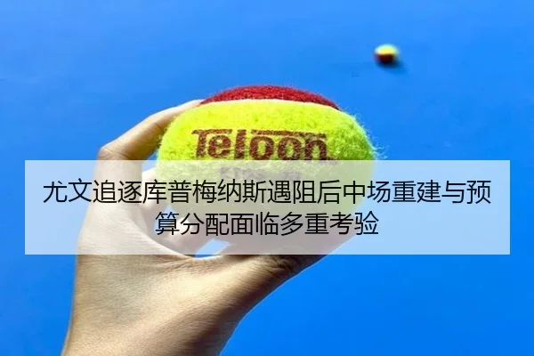 you-wen-zhui-zhu-ku-pu-mei-na-si-yu-zu-hou-zhong-chang-chong-jian-yu-yu-suan-fen-pei-mian-lin-duo-zhong-kao-yan-2-493.jpg