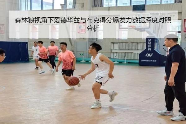 森林狼视角下爱德华兹与布克得分爆发力数据深度对照分析