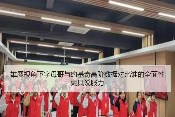 雄鹿视角下字母哥与约基奇高阶数据对比谁的全面性更具说服力