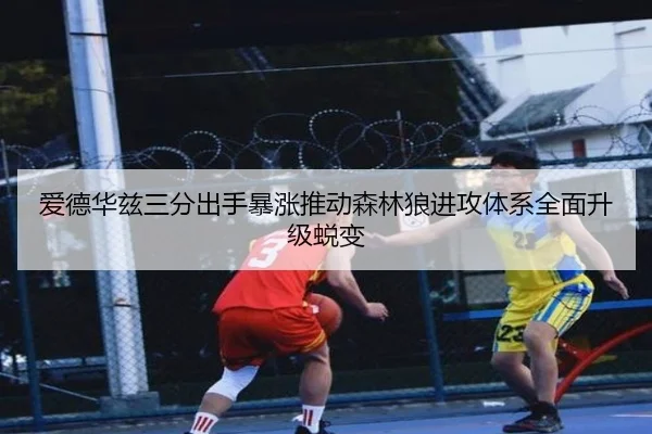 爱德华兹三分出手暴涨推动森林狼进攻体系全面升级蜕变